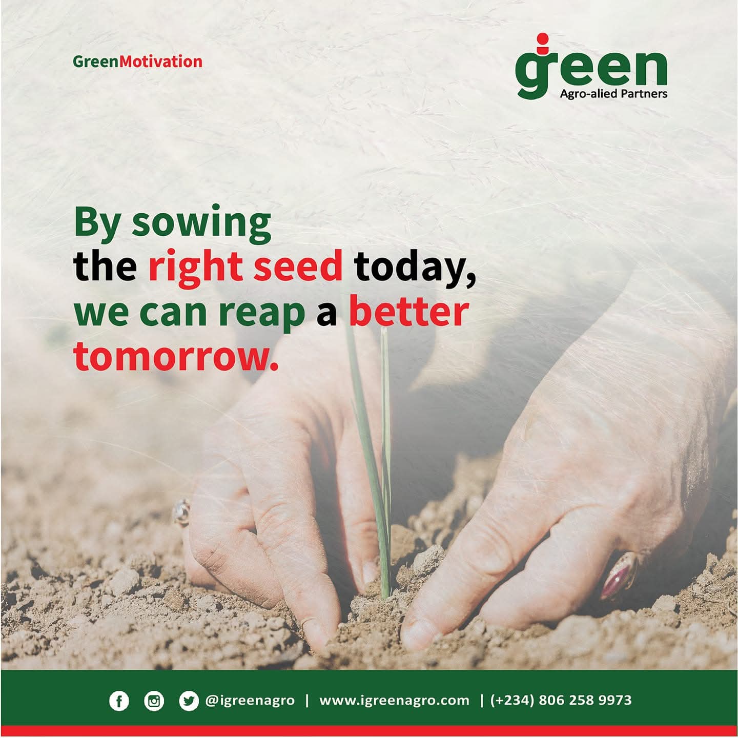 Igreen team member planting on site